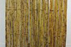 Bamboo Vertical   